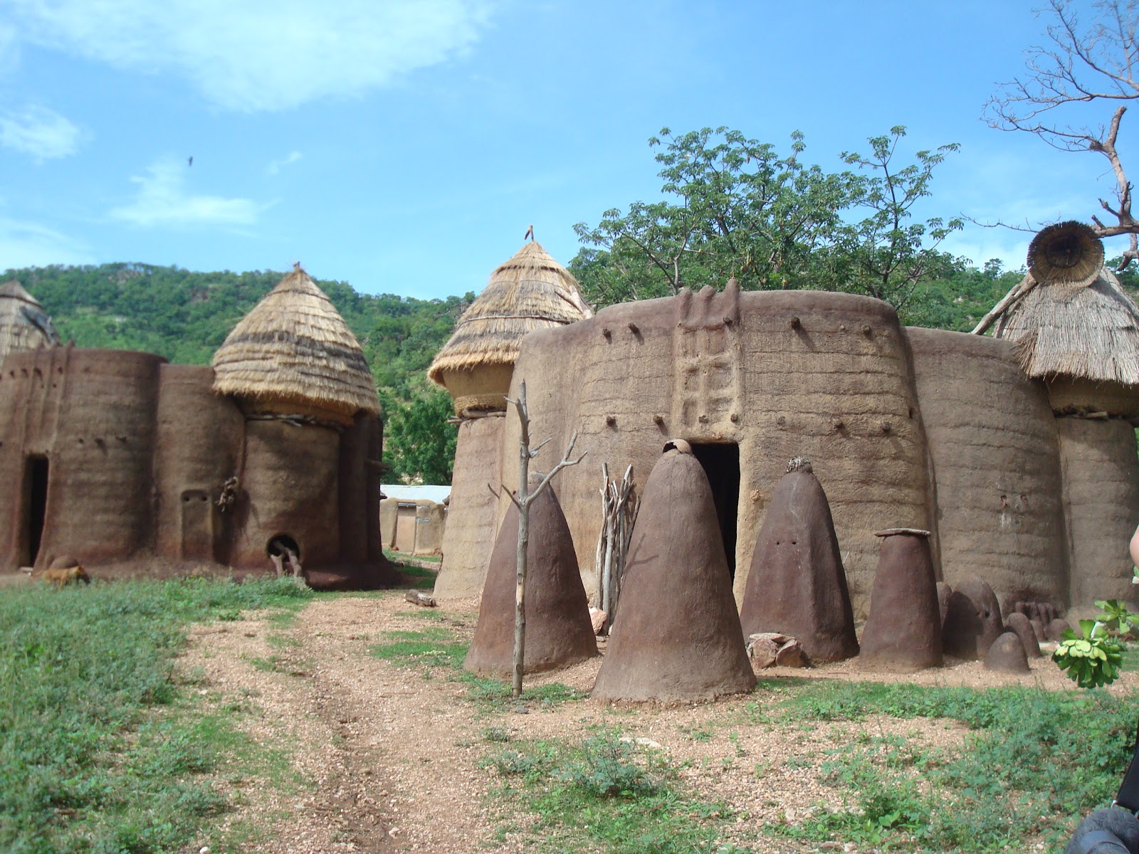 To Go or Not To Go? Togo!