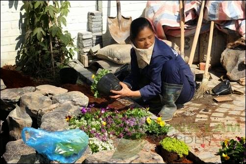 Thi công hồ cá Koi, làm hồ cá Koi, thiết kế hồ cá Koi Thi công hồ cá Koi, làm hồ cá Koi, thiết kế hồ cá Koi