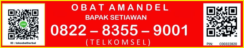  obat amandel, obat amandel alami, obat amandel bengkak, obat amandel di batam