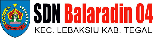 SD Negeri Balaradin 04
