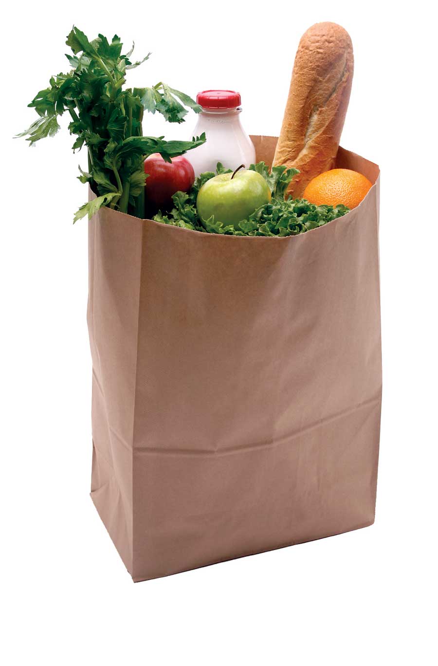 The paper bags are the only thing, civilized man has produced that does