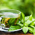 Cold Sore Remedy - Mint Tea