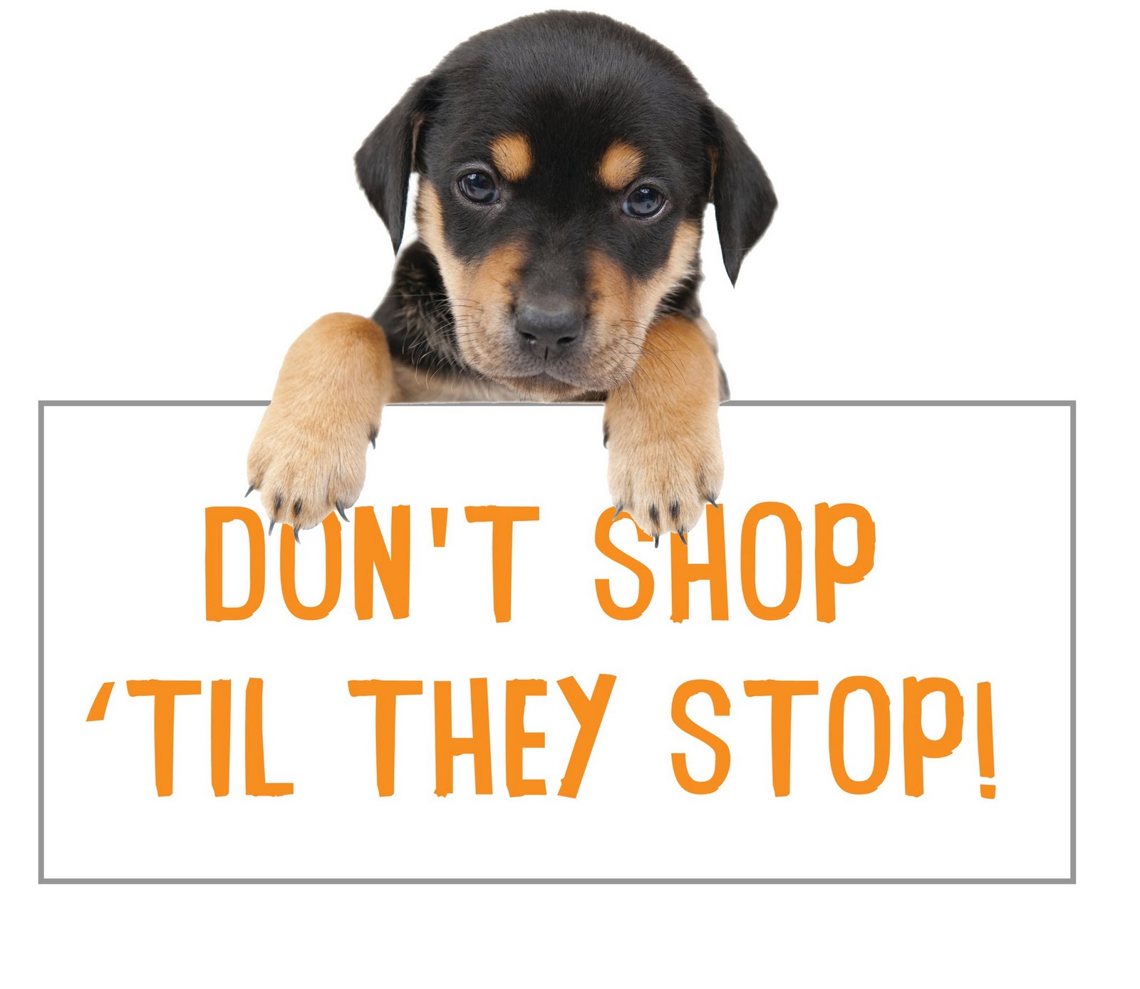 Pet Stores In Kentucky That Sell Dogs Pet Stores In Kentucky That Sell Dogs
