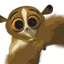 Cute Mort Madagascar