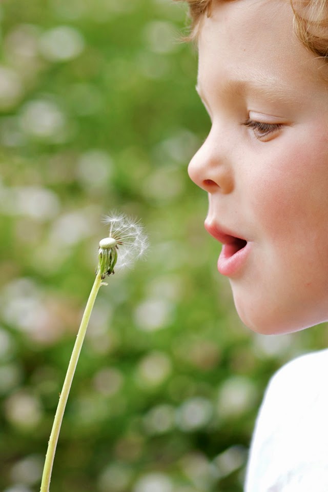 Karin A fotografi our joyful moments week 7/52