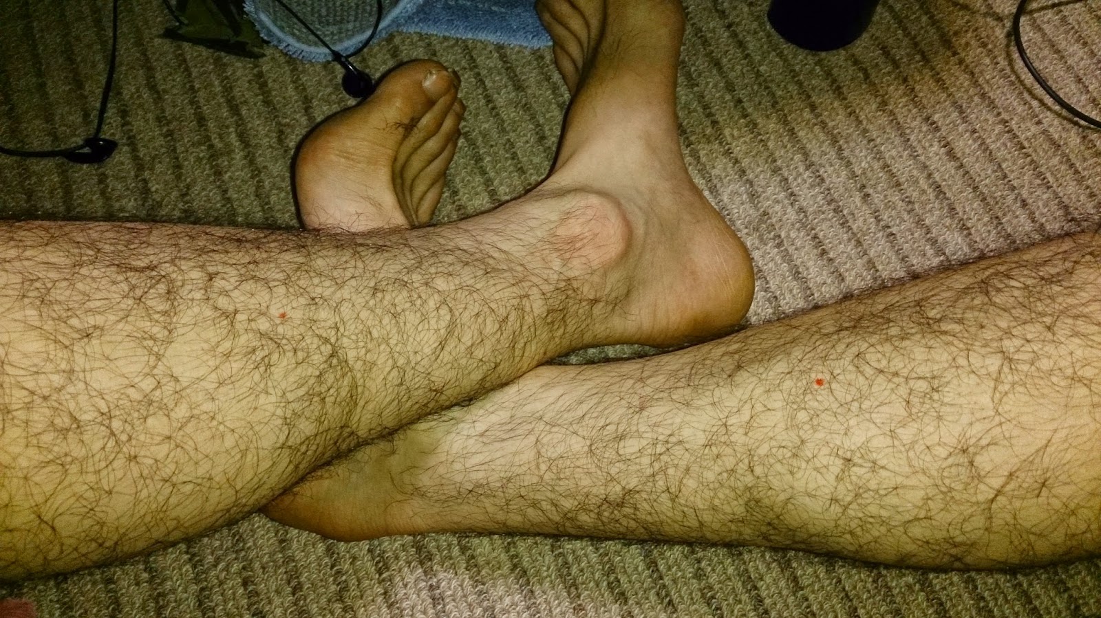 無農薬野菜の三つ豆ファーム日記 06 21 14