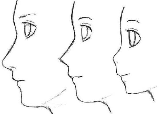 Nariz+ (564×397) | Aprender a dibujar anime, Como aprender a  dibujar, Como dibujar manga