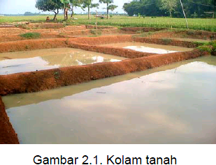 Afriansyahachmad Budidaya Kolam Air Tenang