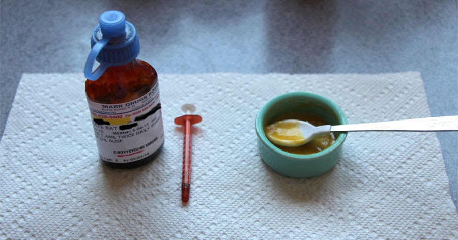 Comment demander du viagra au medecin Comment demander du viagra au medecin