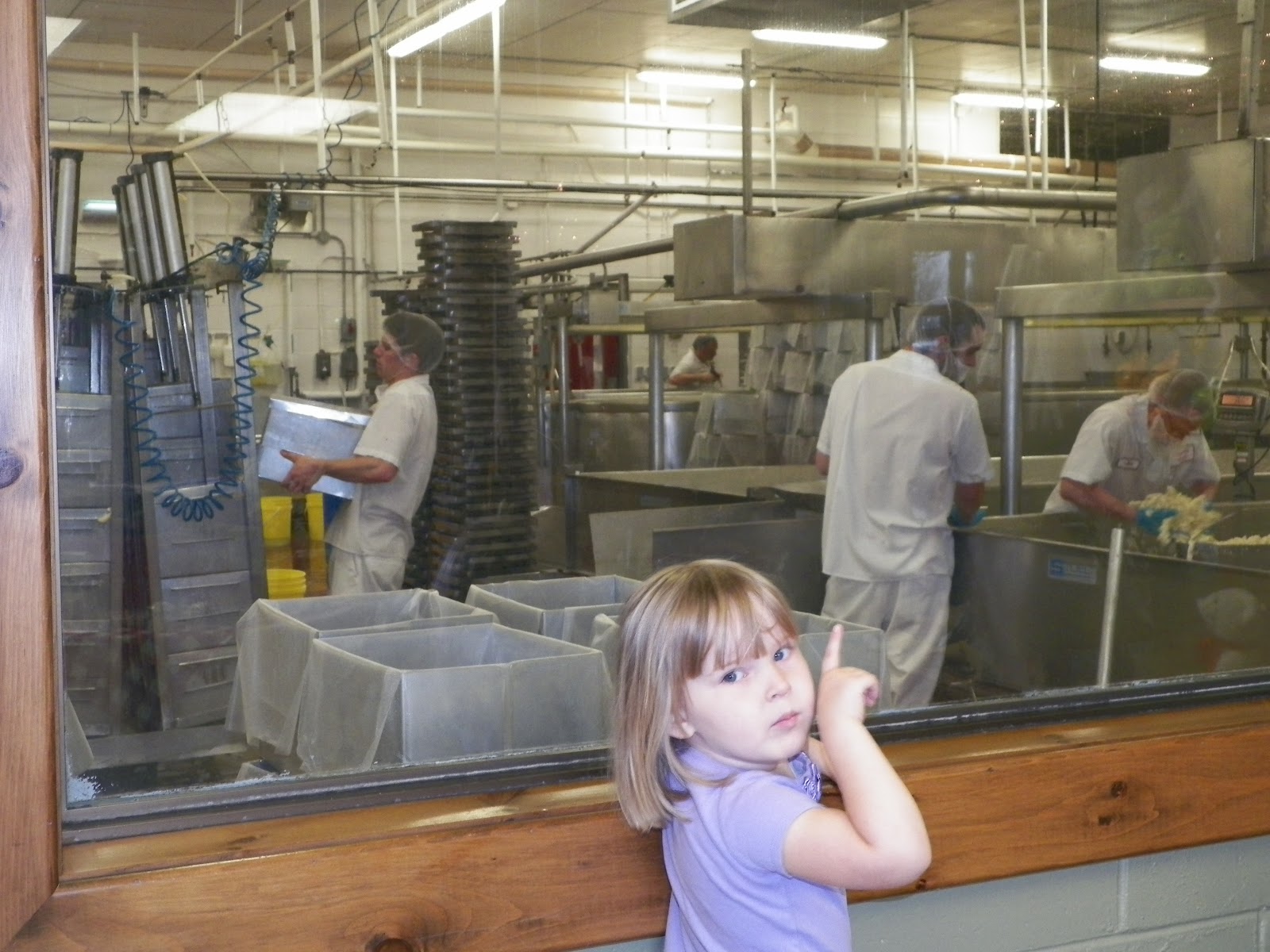 The Middle Aged Woman Who Lived in a Shoe The Ivanhoe Cheese Factory