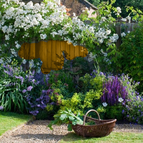 Dr Dans Garden Tips Landscaping for Privacy Dr Dans Garden Tips Landscaping for Privacy