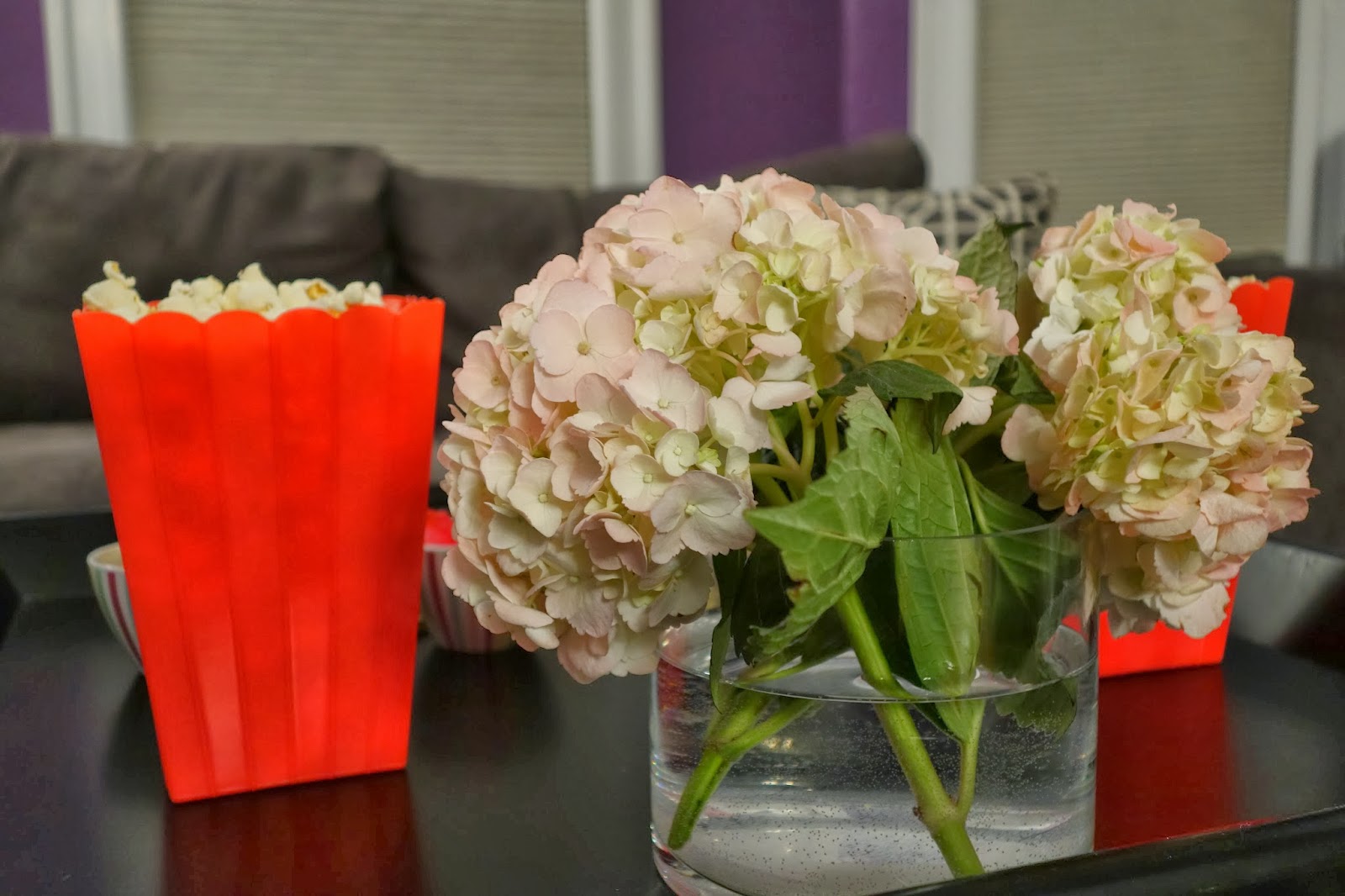 Proven Winners Colorchoice Plant Of The Week Plant Of The Week