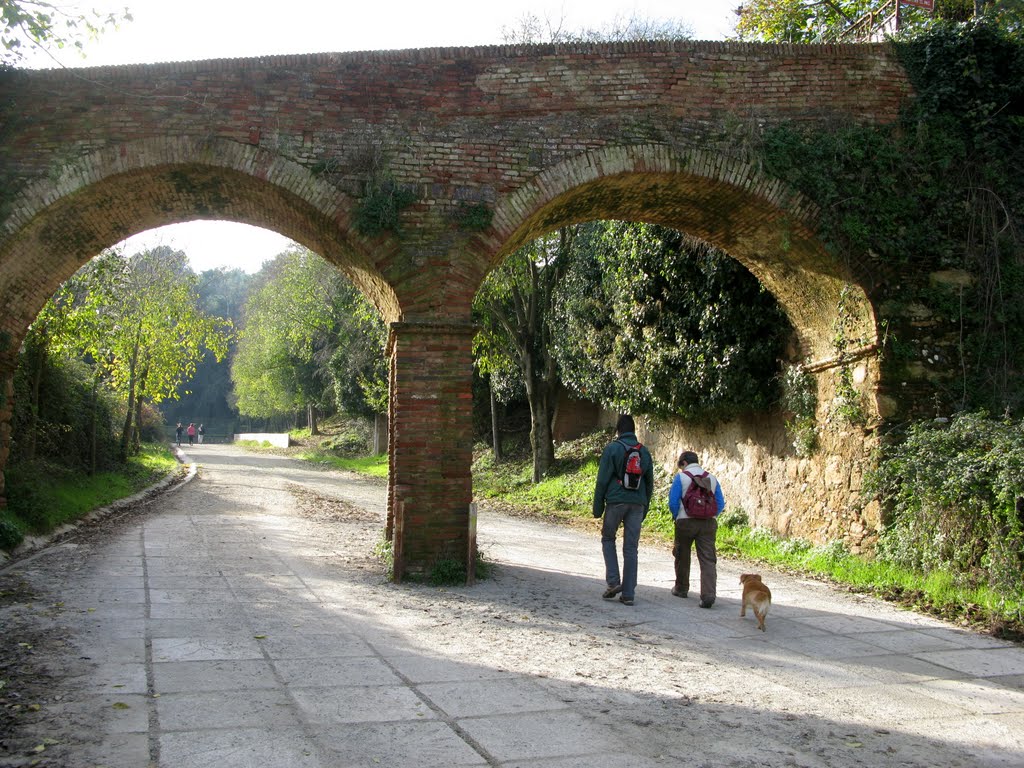 Donde conocer mujeres en portillo de toledo Donde conocer mujeres en portillo de toledo