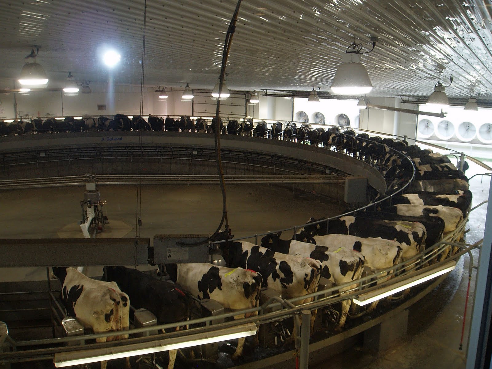 US Agriculture Study Tour Rosendale Dairy Rosendale WI. Tuesday, 30