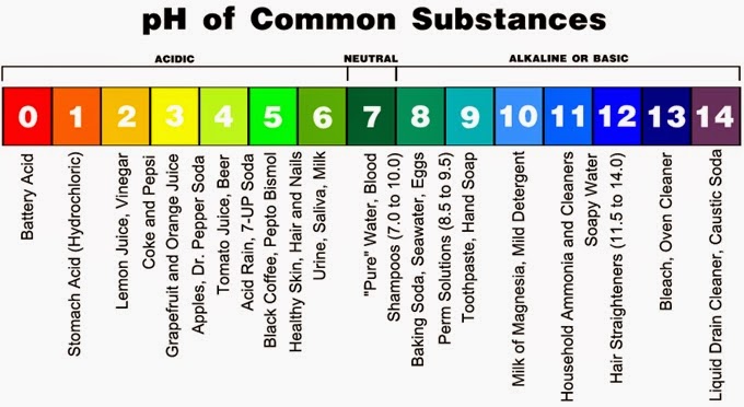 Difference Between Chlorine In Drinking Water And Bleach Difference Between Chlorine In Drinking Water And Bleach