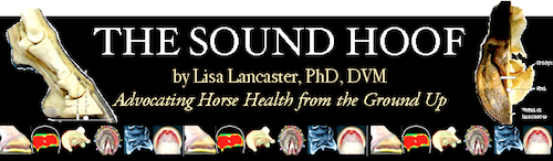 Lisa Lancaster book The Sound Hoof