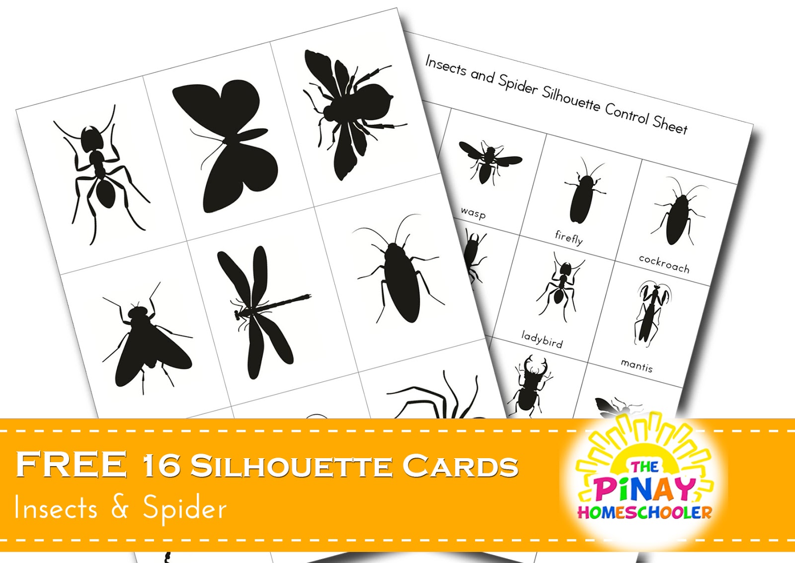 FREE Insect & Spider Silhouette Cards