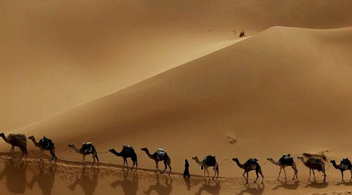 padang pasir
