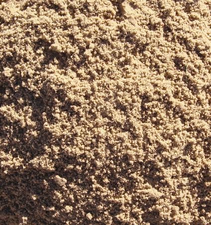 bearded-dragon-substrate-sand-playsand.jpg