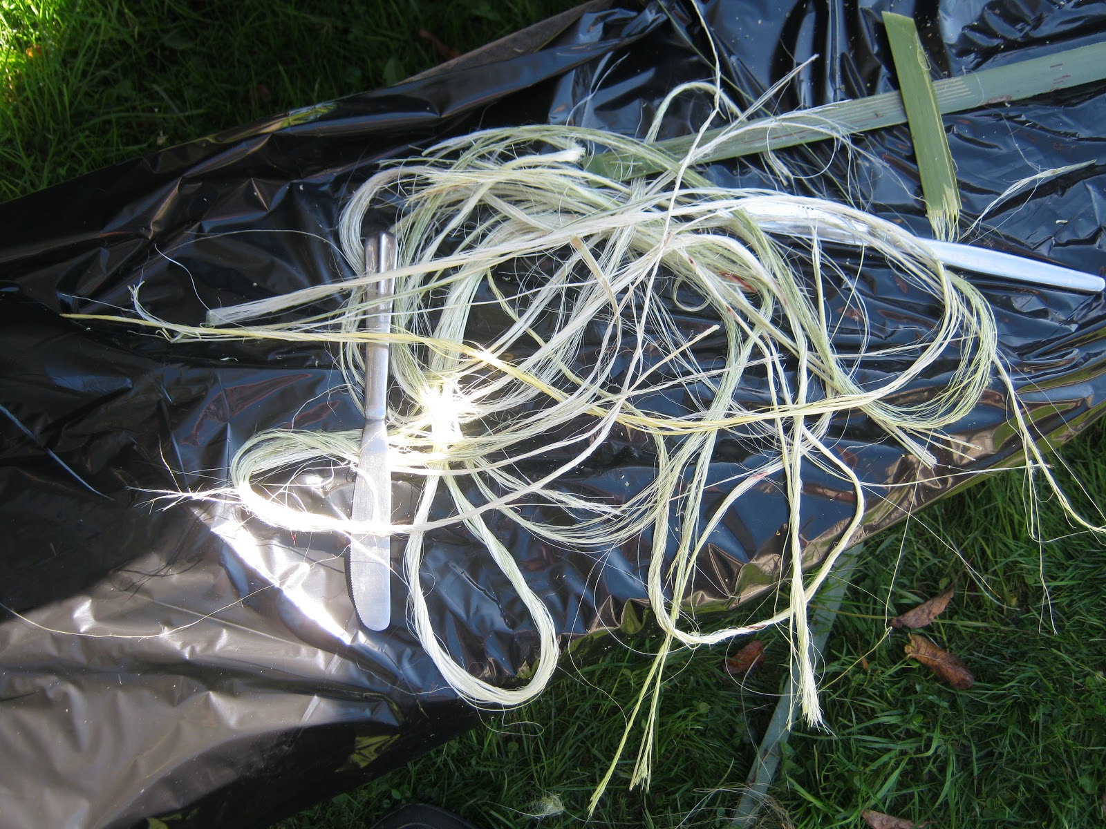 Rope Making Fiber Crossword at Robert Clay blog