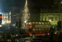 Christmas tree in Trafalgar Square, London Christmas tree in Trafalgar Square, London