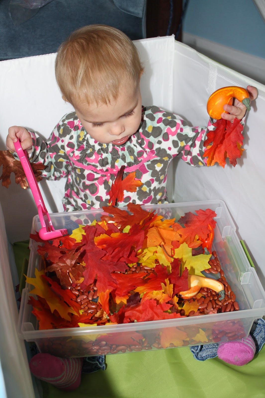 activities to do with 16 month old