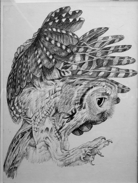 riverbasin outfitters owls eco jewelry designers