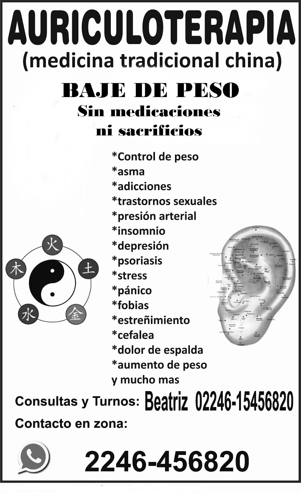 auriculoterapia en el Partido de la Costa