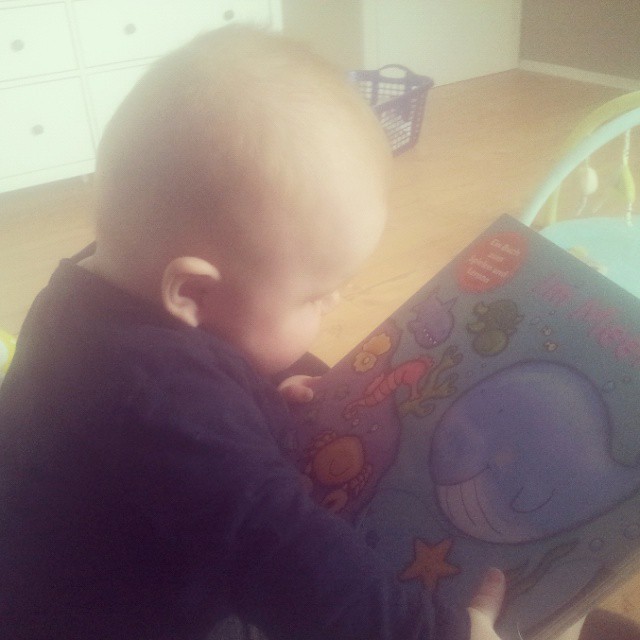 Babystuff Der Ganz Normale Alltag Mit Einem 5 Monate Altem Baby