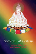 Spectrum of Ecstasy