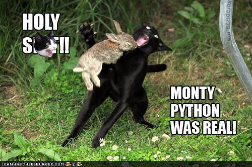 monty-python-real.jpg