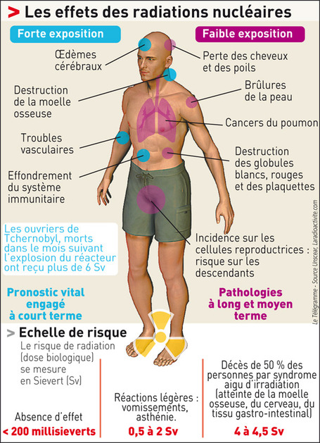 rencontres nucleaire et sante 2013