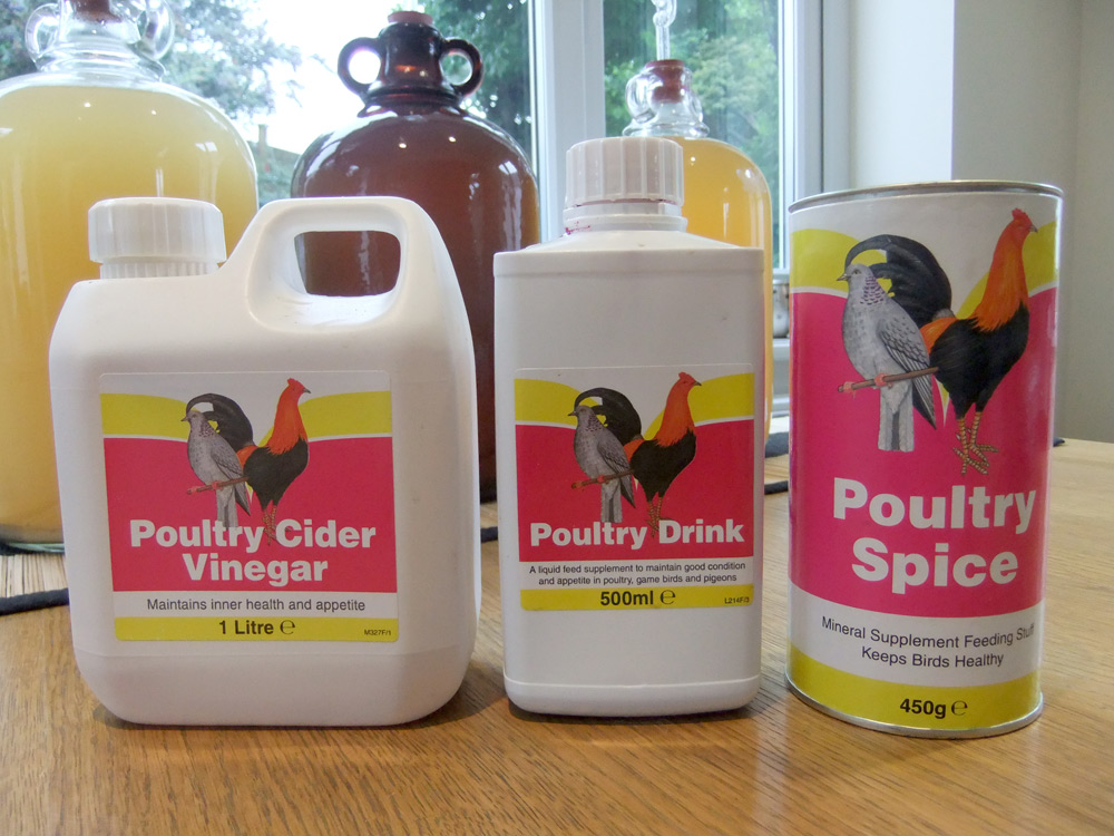 The Hens are in the House Lovely Greens Garden Living and Making