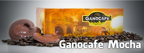 SAĞLIKTA REİSHİ MANTARI ganocafe mocha