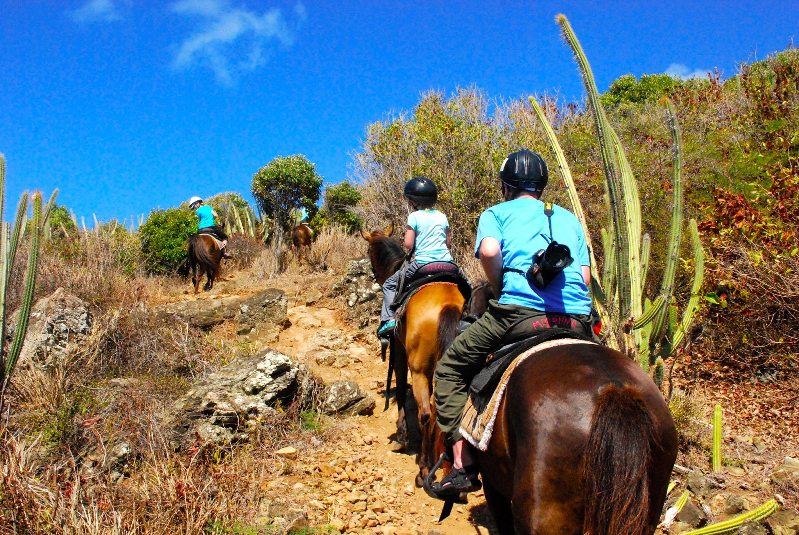 Wanderlust Traveler St. Maarten/St. Martin (Sightseeing)