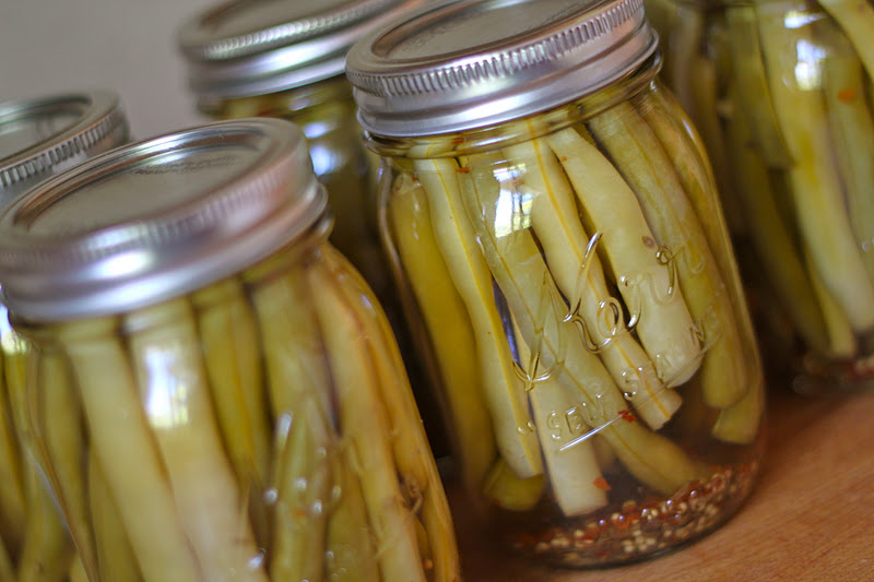 Home Made Lovely Dilly Beans My Canning Success Story