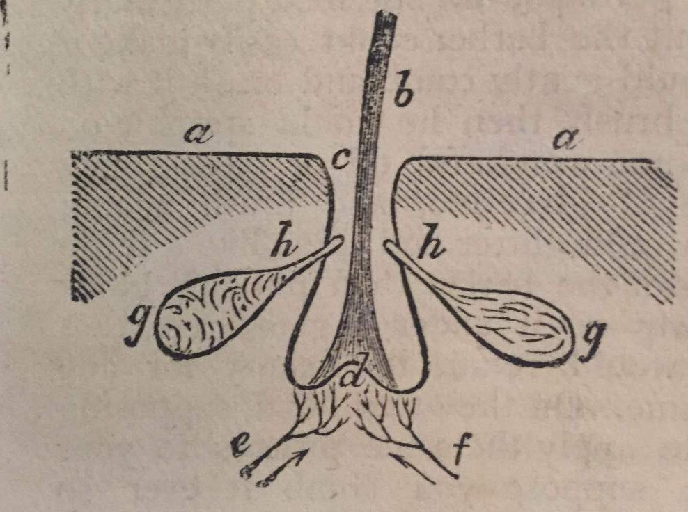 Just lather that's all quotes picture