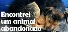 Encontrei um animal abandonado -Clique aqui e saiba o que fazer