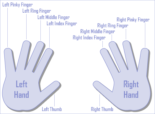 businessudea.group26: Fingers and Toes' Names Images