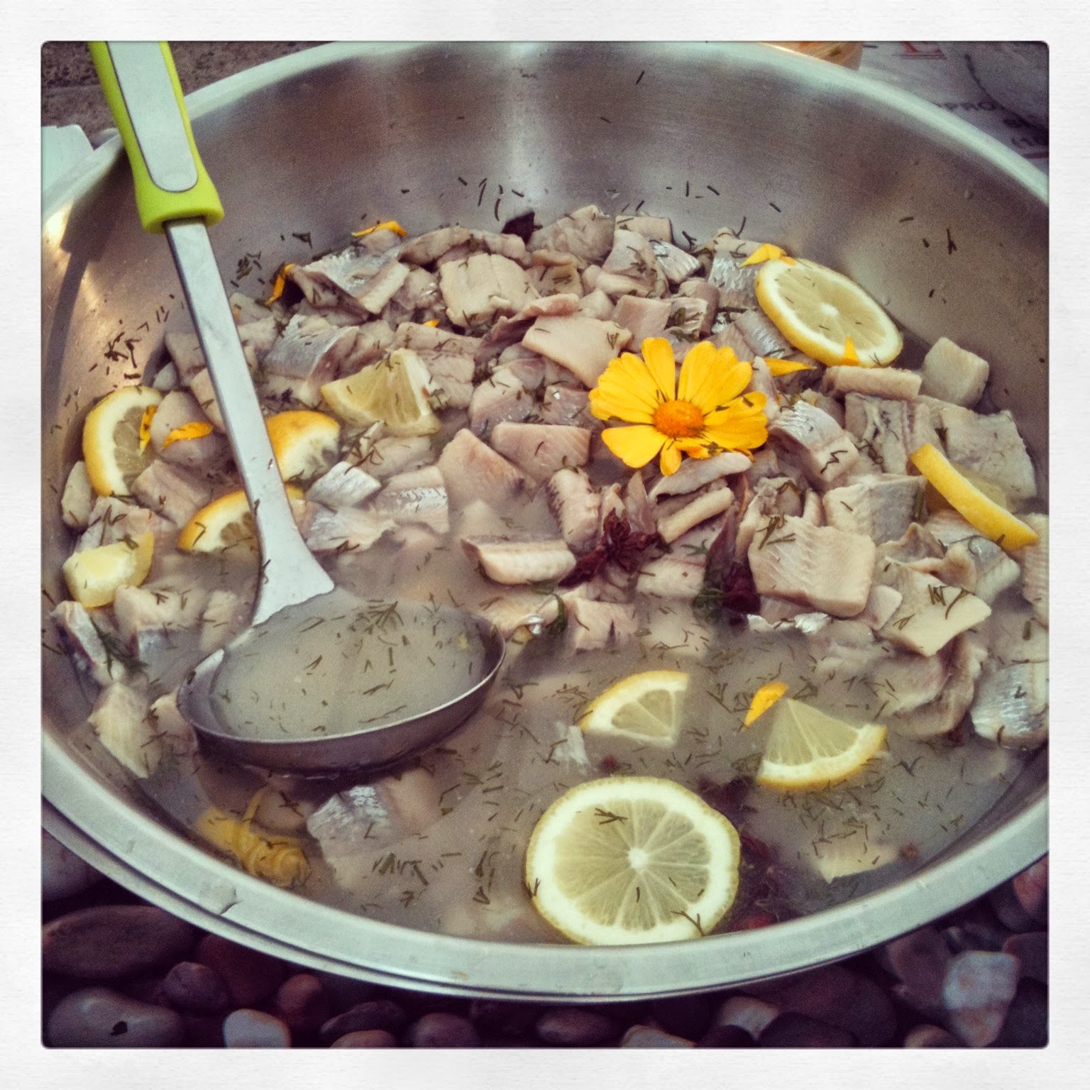 SCDee Limerick Food Trails