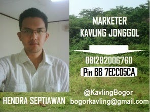 marketer