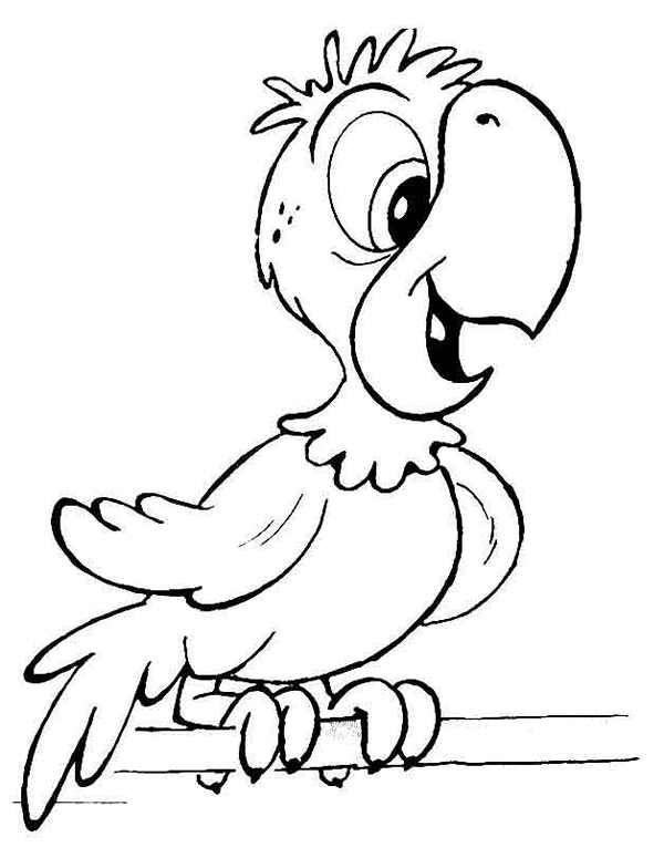 Papagaio Desenho