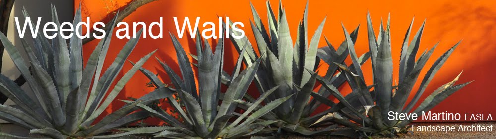 Weeds and Walls