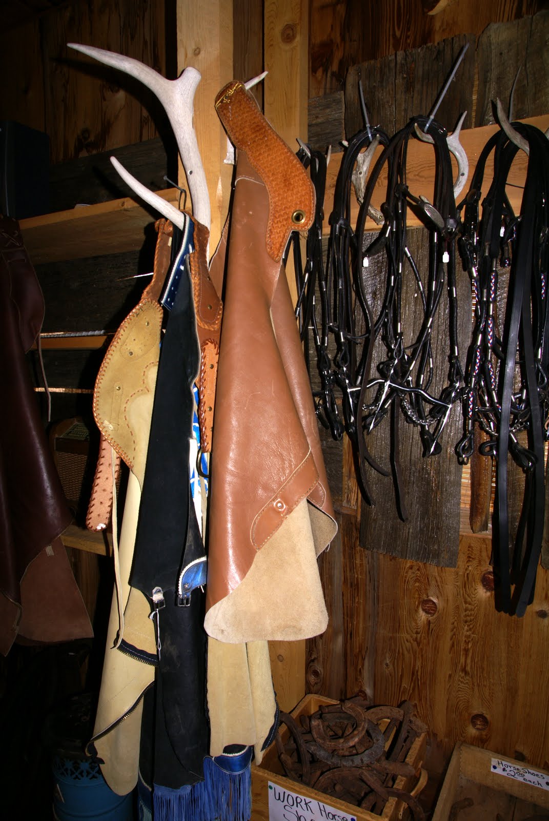 The Old Cowboy and Photography Chaps