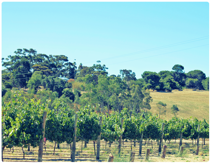 Elbow Room Mclaren Vale Menu Elbow Room Mclaren Vale Menu