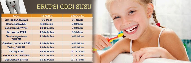 Gigi Susu gigi susu, gigi primer, gigi