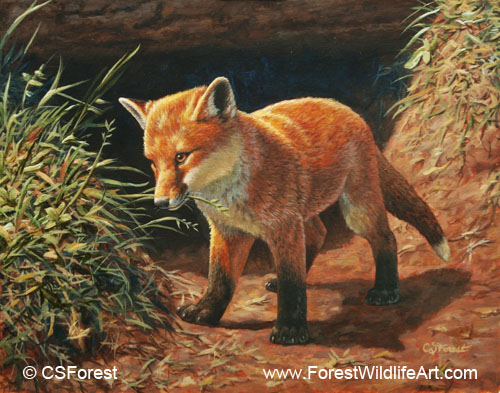 Crista Forest S Animals Art Coloring Book Page Red Fox Pup