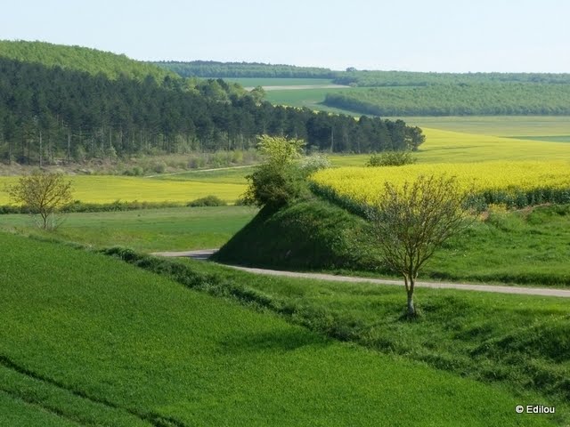 perspective du Coulangeois