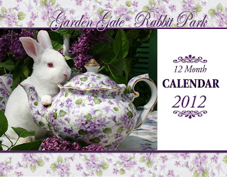 Our New Calendar for 2012