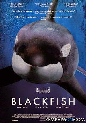 Sát Thủ Đen - Blackfish